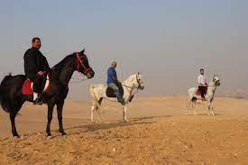 THE FARM - HOTEL & HORSE RIDING القاهرة