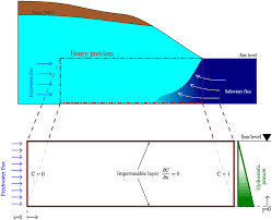 Density Driven Groundwater Flows