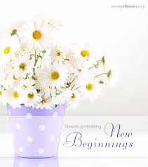 Maybe you would like to learn more about one of these? Flowers Symbolising New Beginnings