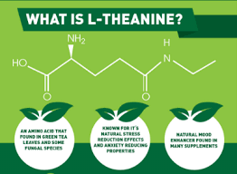 l theanine and alcohol withdrawal what