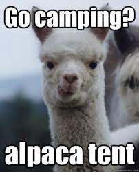 Image result for camping jokes