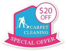 the forney tx carpet cleaning our