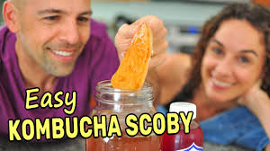 making a kombucha scoby from scratch
