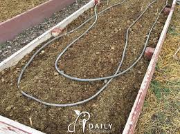 can you plant directly in horse manure