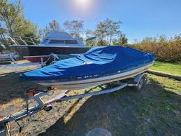 Bayliner S For