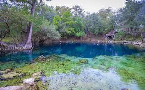 A popular swimming hole just a short distance from the suwannee river. Royal Springs Park Outdoor Project