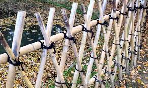 Make Japanese Bamboo Fences Trellises