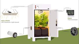 how to grow weed at home stealthbox