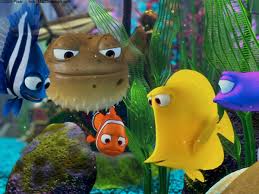 Well, until they sense blood and go in a crazy mood. How To Build A Finding Nemo Or Finding Dory Fish Tank Pethelpful By Fellow Animal Lovers And Experts