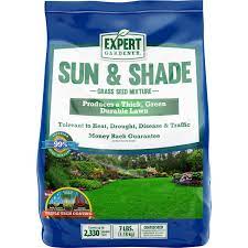 shade northern gr seed mix