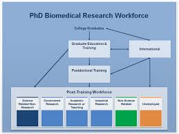 Nih Research Portfolio Online Reporting Tools Report Acd