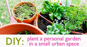 Diy How To Plant A Personal Garden In