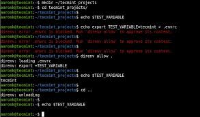 如何使用direnv在linux中管理特定项目的环
