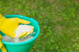 when to fertilize lawn best times for