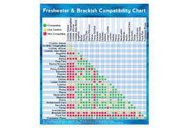 Fish Compatibility Chart 3 Fw Wide The Aquarium Setup