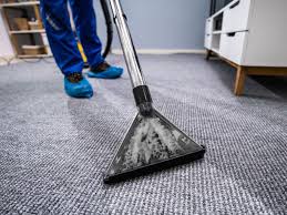 carpet cleaning etobie toronto pro