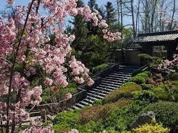 japanese gardens in los angeles and