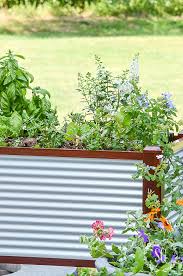 Planting Herbs In Raised Beds Stonegable