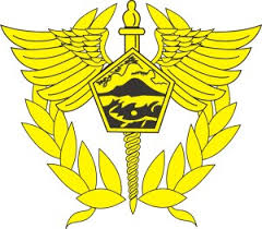 Directorate General Of Customs And Excise Indonesia