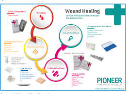 Figure 6 From Effective Wound Care The Use Of Pioneers