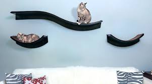 Cat Shelves Guide Kitty Loaf