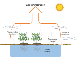 Evapotranspiration And Crop Water Use