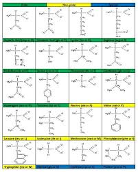 twenty amino acids in proteins