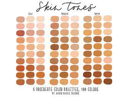 Skin Tones Procreate Color Palette For