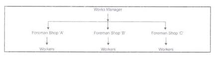 Forms Of Organisational Structure Line Functional And
