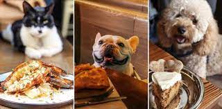 15 outdoor pet friendly cafes and