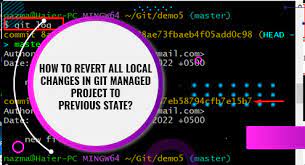 local changes in git managed project