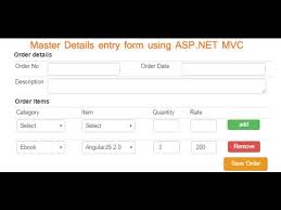 entry form in asp net mvc
