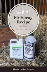 easy to make fly spray that really