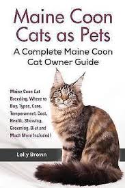 as pets 3a maine cat breeding