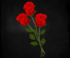 romantic rose hd wallpaper
