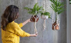 How To Hang A Plant From The Ceiling