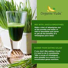 organic veda wheat gr juice powder