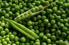 can-horses-eat-snap-peas