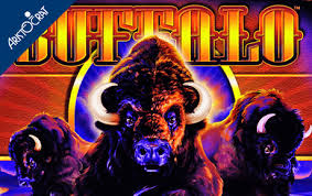 The free slots' no download mode applies to both mobile devices and desktop computers. Buffalo Slot Free Play Buffalo Online Casino Slots No Download