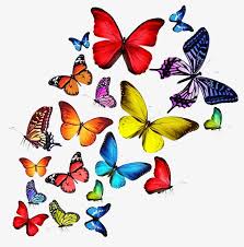 Colorful Butterfly | Butterfly art, Butterfly images, Butterfly clip art