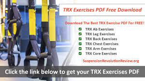 the best trx exercises pdf for