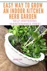 Grow An Indoor Kitchen Herb Garden