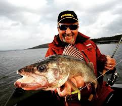 Midwest Fishing Walleye