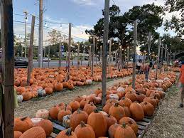 fall list 2021 pumpkin patches