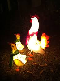 My Chicken Christmas Lights Oh I Have To Find These