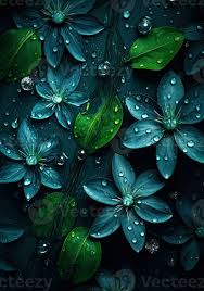 water drops wallpaper green leaves