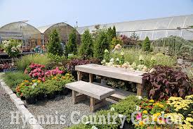 Tips On Garden Design Hyannis Country