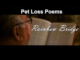 pet loss poems rainbow bridge you