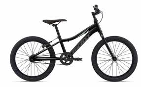 what age is a 22 inch bike for bikestead