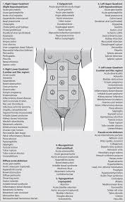Differential Diagnosis Acute Abdominal Pain Adapted From
